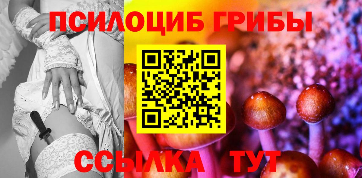 Галлюциногенные грибы Cubensis  Вход с VPN  Абинск  Псилоцибиновые грибы Cubensis 